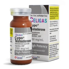 HP Cypo-Testosterone 250 INT